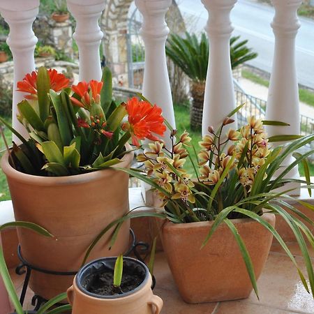 Amaryllis House Apartment Parga Bagian luar foto