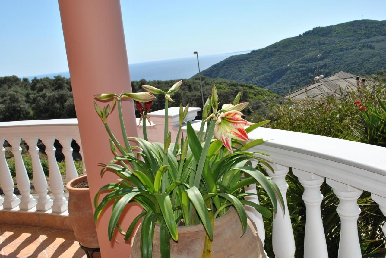 Amaryllis House Apartment Parga Bagian luar foto