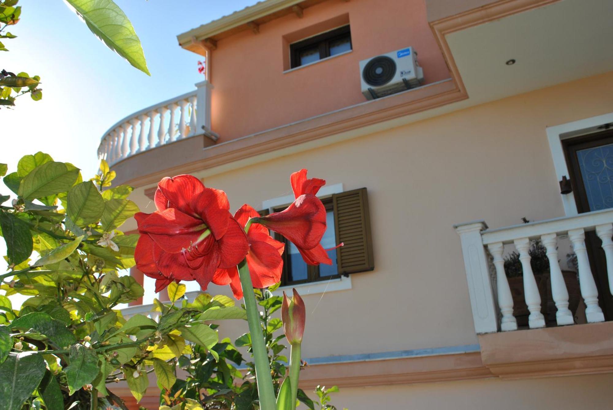 Amaryllis House Apartment Parga Bagian luar foto