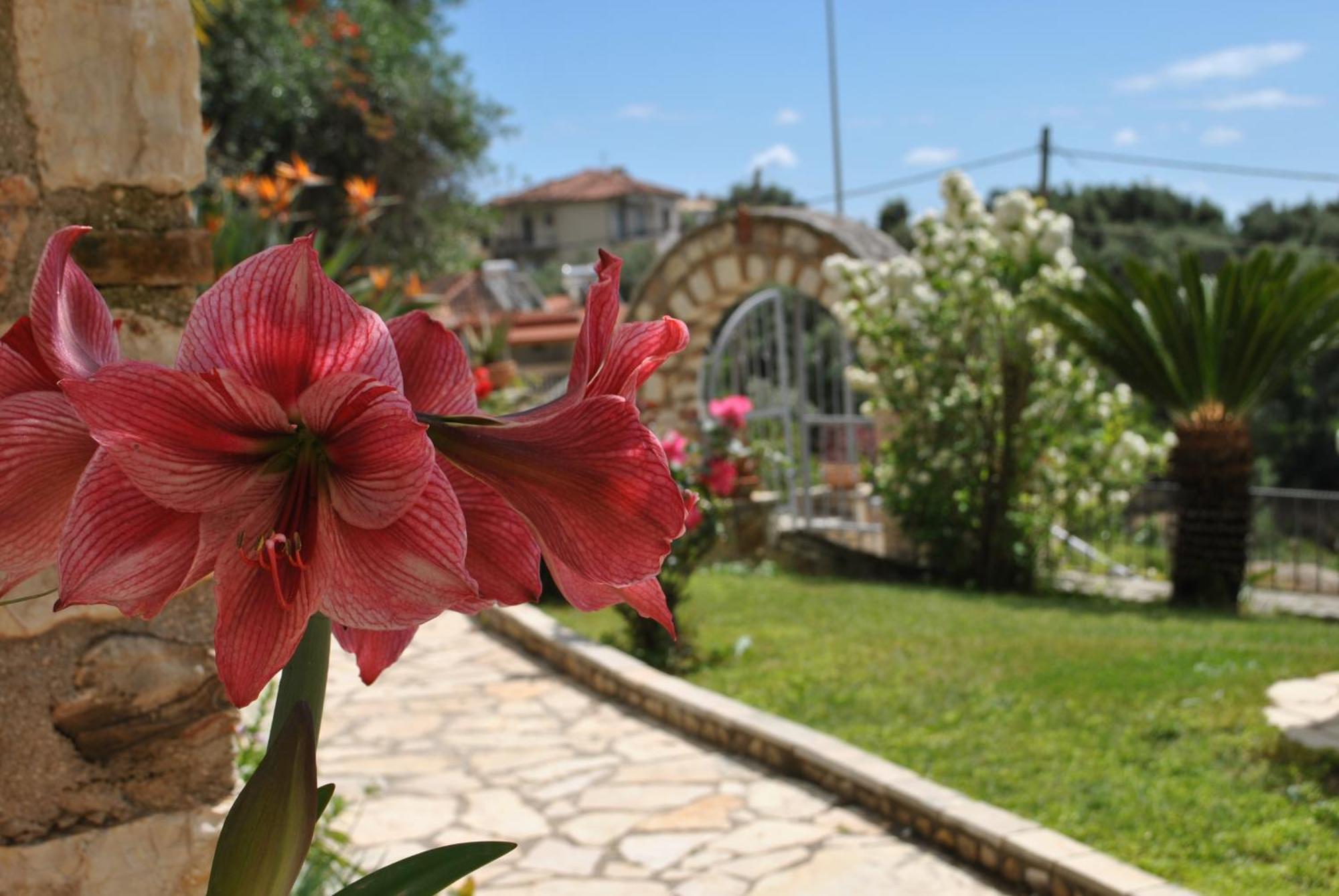 Amaryllis House Apartment Parga Bagian luar foto